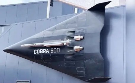 POLARIS COBRA