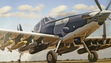 Air Tractor OA-8 Longsword