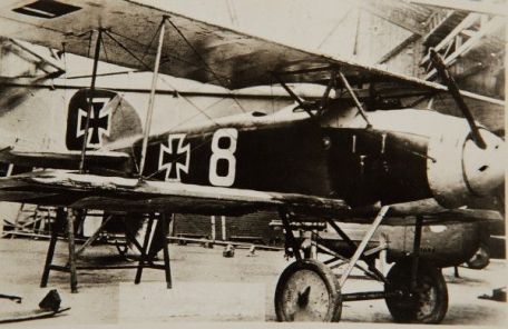 Albatros D.II