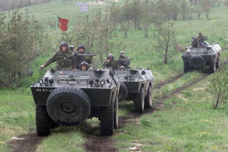 Bravia Chaimite (Series) (ARMORED PERSONNEL CARRIER, COLD WAR, MODERN, SELF-PROPELLED ARTILLERY) Bravia Chaimite (Series)