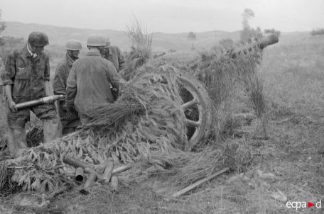 Cannone da 75/32 modello 37