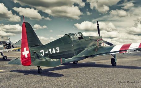 EKW D-3801 (MS.412) (COLD WAR, WORLD WAR 2) EKW D-3801 (MS.412)