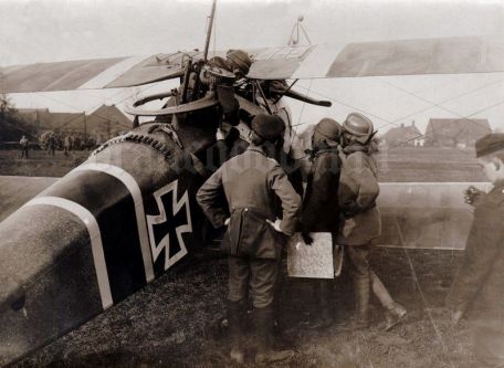 Halberstadt CL.II (WORLD WAR 1) Halberstadt CL.II