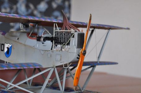 Hansa-Brandenburg W.12