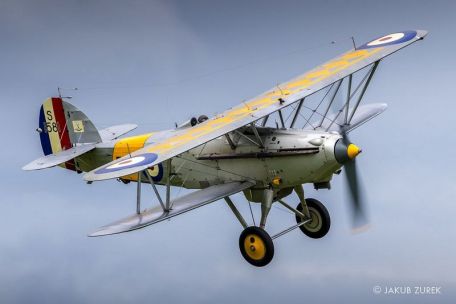 Hawker Nimrod