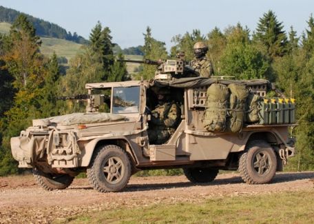 Rheinmetall Landsysteme LIV(SO)