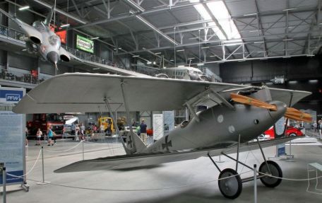 Pfalz D.III
