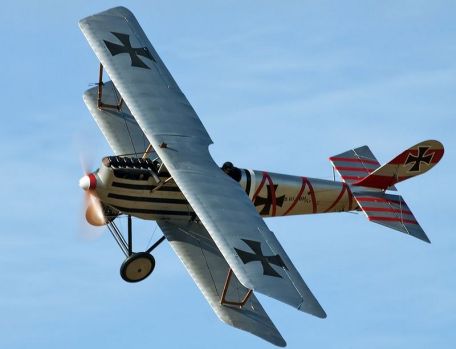 Pfalz D.III