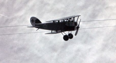 Pfalz D.XII