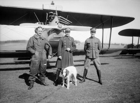 Phonix C.I (WORLD WAR 1) Phonix C.I