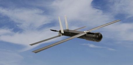 Raytheon Coyote