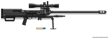 Denel NTW-20